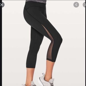 Lulu Train Times crop 19”